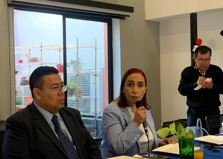 Adriana Dávila urge a limpiar el PAN