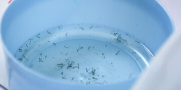 Concentran cinco municipios de Puebla el 58.9 % de casos de dengue: Salud