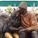 Lakers colocan una estatua de Kobe Bryant junto a su hija