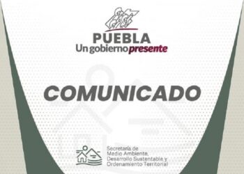 Presentan denuncia por probable envenenamiento masivo de perros y gatos