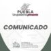 Presentan denuncia por probable envenenamiento masivo de perros y gatos
