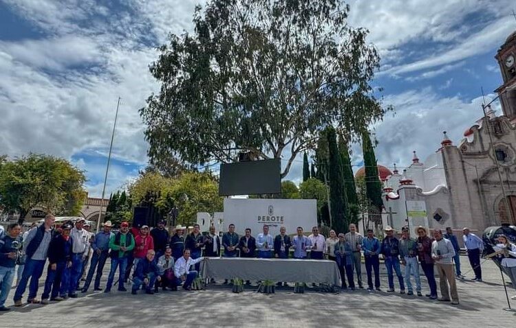 Granjas Carroll dona árboles en Perote, Tlachichuca y Tepeyahualco