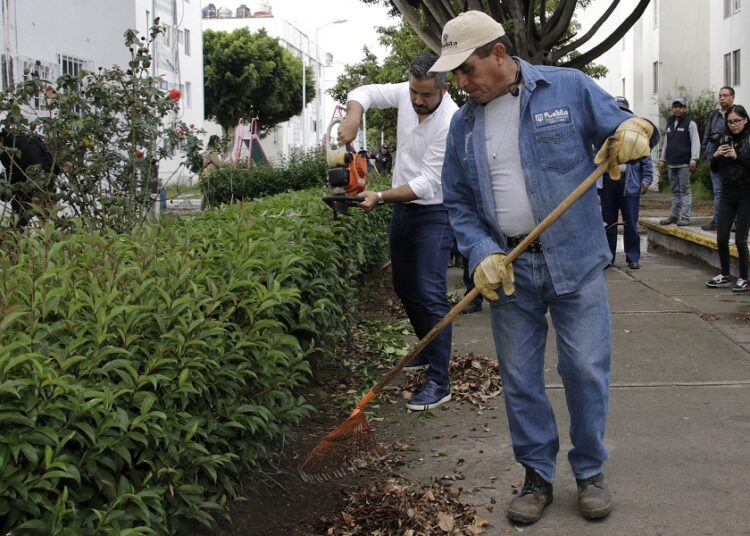 Ayuntamiento ha dado mantenimiento a más de 31.5 millones de m2 de áreas verdes