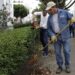 Ayuntamiento ha dado mantenimiento a más de 31.5 millones de m2 de áreas verdes