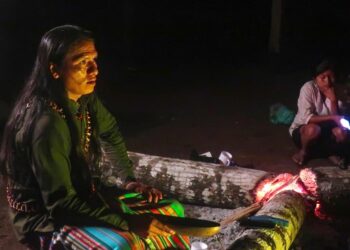 La toma de guayusa como ritual energizante en la Amazonía de Ecuador