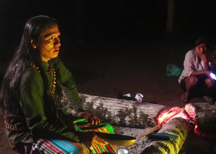 La toma de guayusa como ritual energizante en la Amazonía de Ecuador