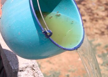 Puebla acumula mil 233 casos de dengue en 2024