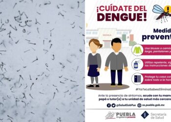Puebla acumula mil 63 casos de dengue