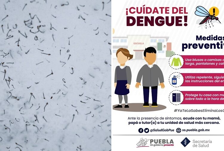 Puebla acumula mil 63 casos de dengue