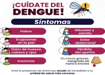 Aumentan hospitalizaciones por dengue