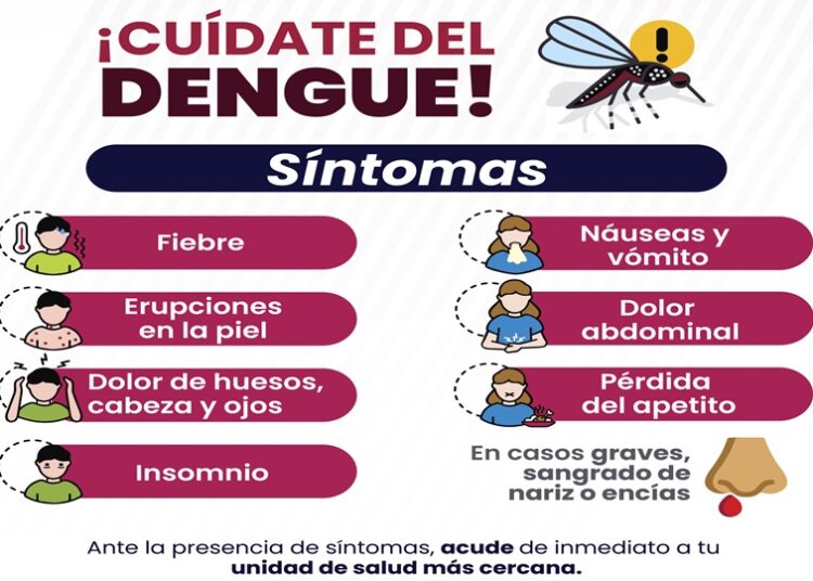 Aumentan hospitalizaciones por dengue