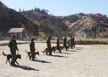 Agentes caninos de la Policía de Bolivia se jubilan con honores tras 6 años de servicio