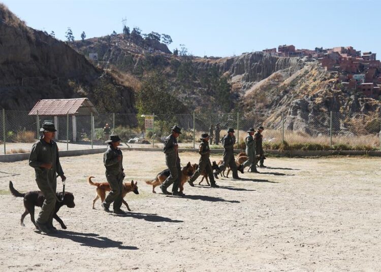 Agentes caninos de la Policía de Bolivia se jubilan con honores tras 6 años de servicio