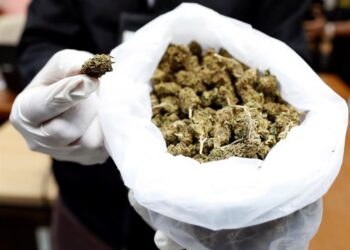 Incautan en Nueva York marihuana y productos por valor de más de 5 millones de dólares