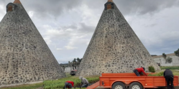 Crece producción de carne porcina en México