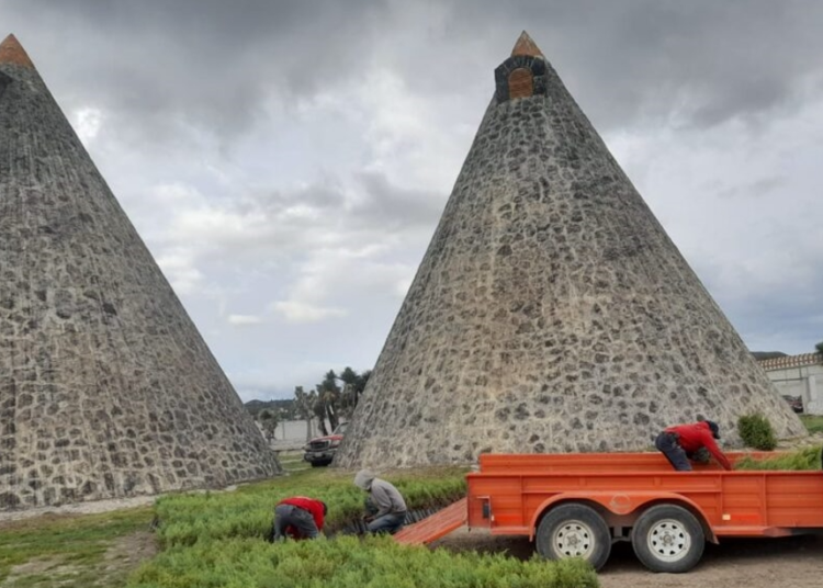 Crece producción de carne porcina en México