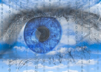 Confianza Digital y Ciberseguridad: Fundamentos para la Protección y el Crecimiento Empresarial