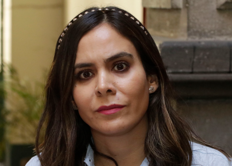 Próximo líder del PAN debe saber ser oposición; no estoy interesada en el cargo: Caro Beauregard