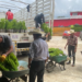 Entrega gobierno estatal 3 millones 484 mil plantas para reforestación