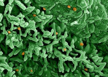 OMS declara mpox emergencia de salud pública internacional