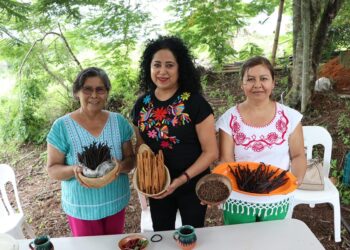 Avanza producción y comercialización de vainilla, canela y pimienta