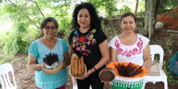 Avanza producción y comercialización de vainilla, canela y pimienta