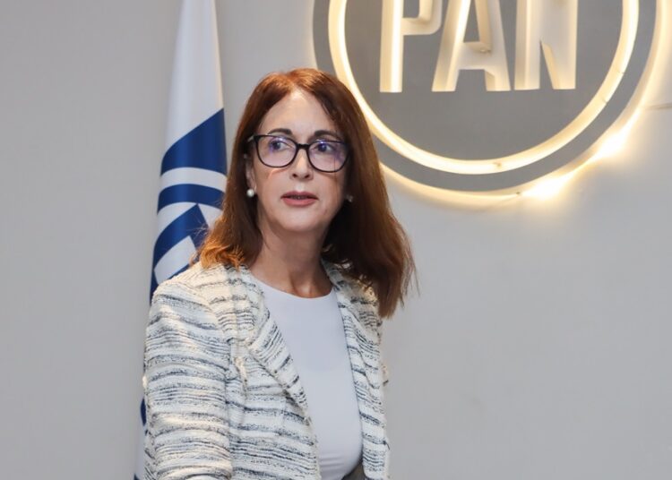 Retiro de plurinominales al PAN fue un exceso del TEEP