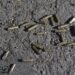 Violencia del narcotráfico deja 9 muertos y 14 desaparecidos en Culiacán