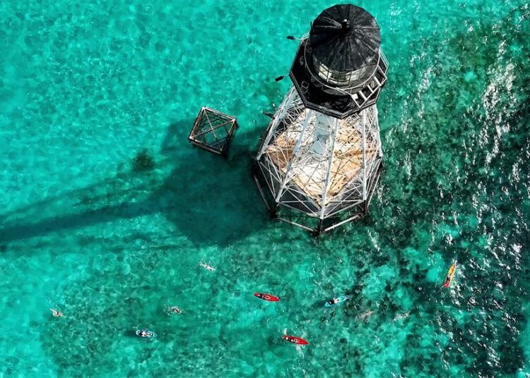Más de 300 nadadores compiten para preservar un faro de los Cayos de Florida