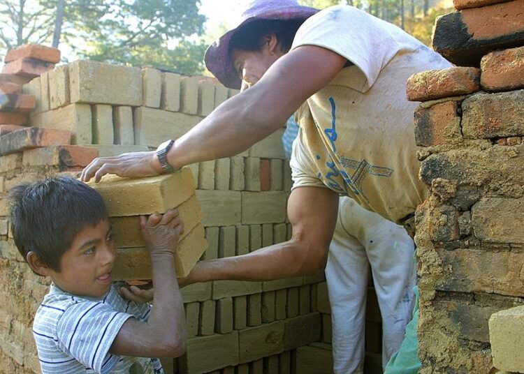 EEUU alerta de niños en México involucrados en cosecha de sustancias para hacer drogas