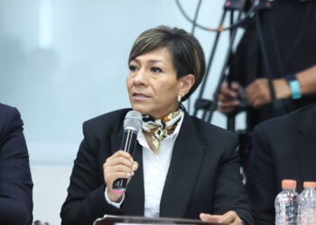 Plan de reforestación restaura 6 mil 242 hectáreas