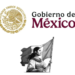 Una joven mexicana será el emblema de la primera mujer presidenta de México, Claudia Sheinbaum Pardo