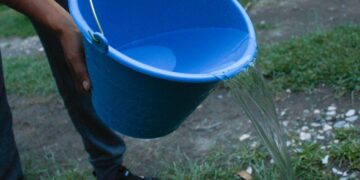 Reportan 19 casos de dengue en últimas 24 horas