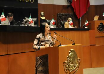 La senadora Liz Sánchez propone pena severa por maltrato animal en México