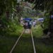 Las ‘brujitas’, una aventura sobre rieles para conocer la naturaleza de Colombia