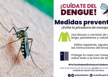 60 municipios registran casos de dengue