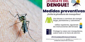 60 municipios registran casos de dengue