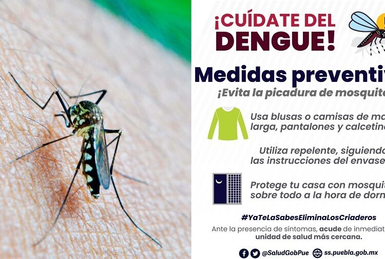 60 municipios registran casos de dengue