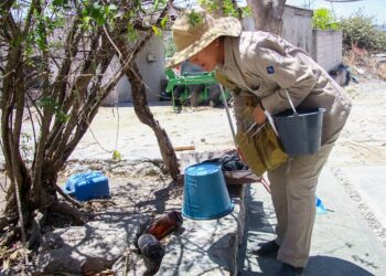 Reportan 56 personas hospitalizadas por dengue en 24 horas