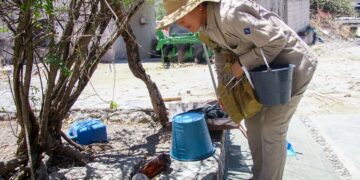 Reportan 56 personas hospitalizadas por dengue en 24 horas