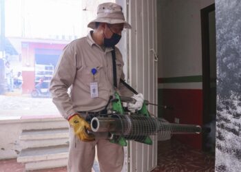 Puebla acumula 7 defunciones y 2 mil 923 casos de dengue