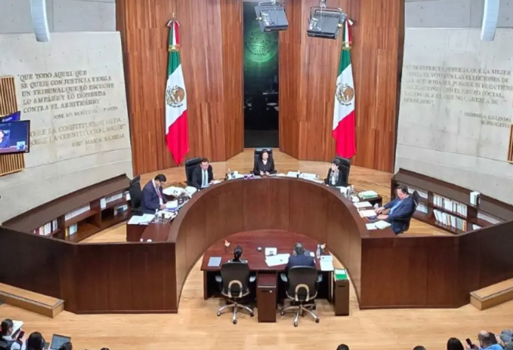TEPJF quitó 3 diputaciones plurinominales a Morena