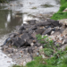 En 3 años, se han retirado mil 139 toneladas de basura en ríos y barrancas