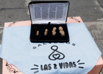 Organizaciones provida entregan 10 mil firmas para frenar reformas proaborto