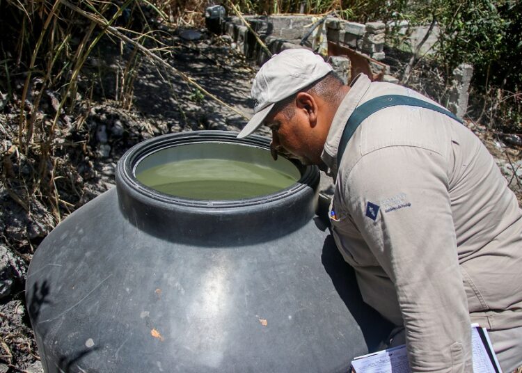 Reportan cero contagios y defunciones por dengue en últimas 24 horas