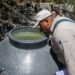 Reportan cero contagios y defunciones por dengue en últimas 24 horas