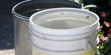 Reportan 51 personas hospitalizadas por dengue