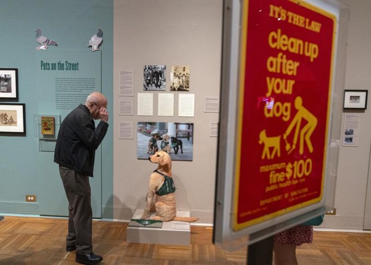 Todos los presidentes de EEUU excepto tres han tenido mascotas en la Casa Blanca