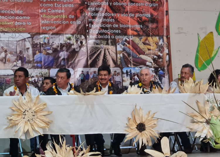 Campesinos aumentarán la producción