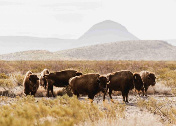 Cemex siembra la semilla de la conciencia ambiental en la FILMTY 2024